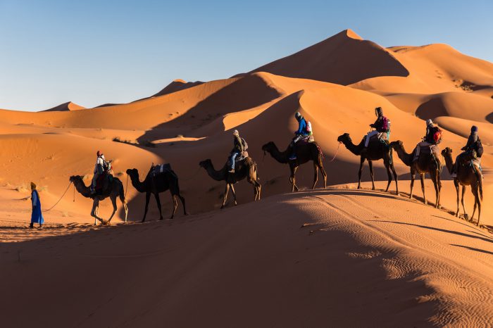 Small-group Desert Tour Fes to Marrakech 3 Days